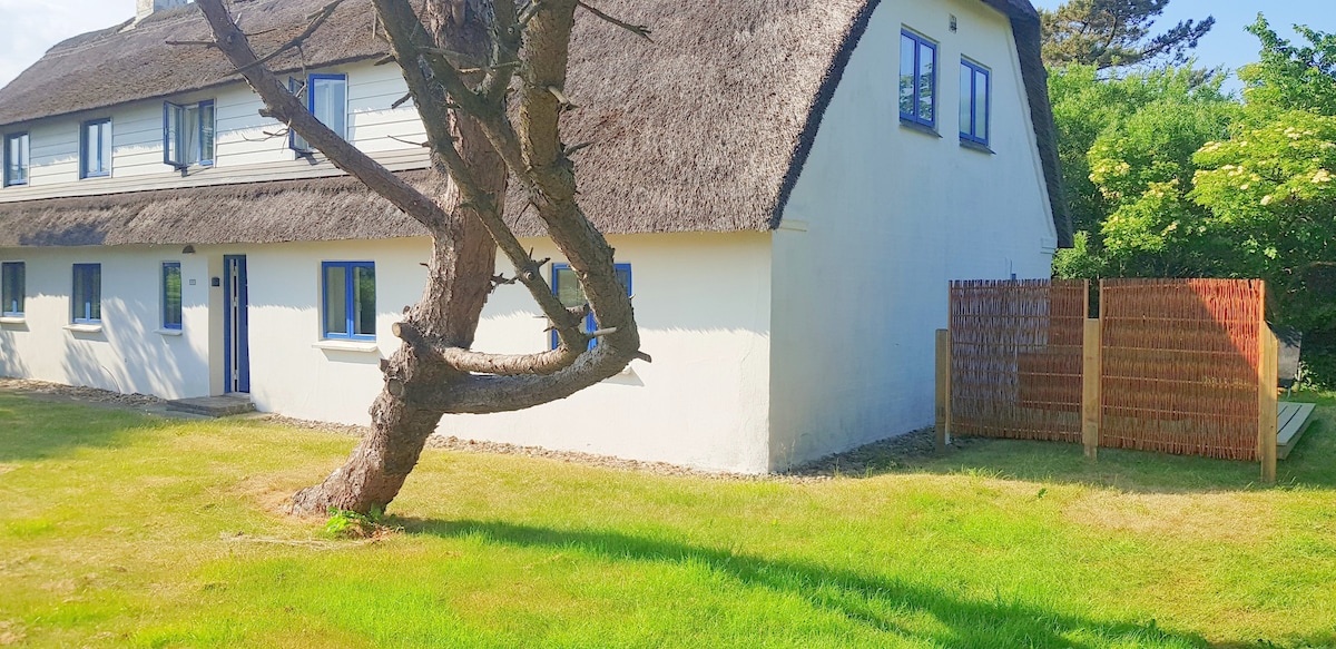 Twin or Double Room in Thatched House