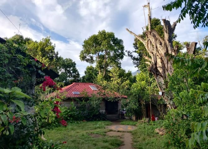 科代卡纳尔(Kodaikanal)的民宿