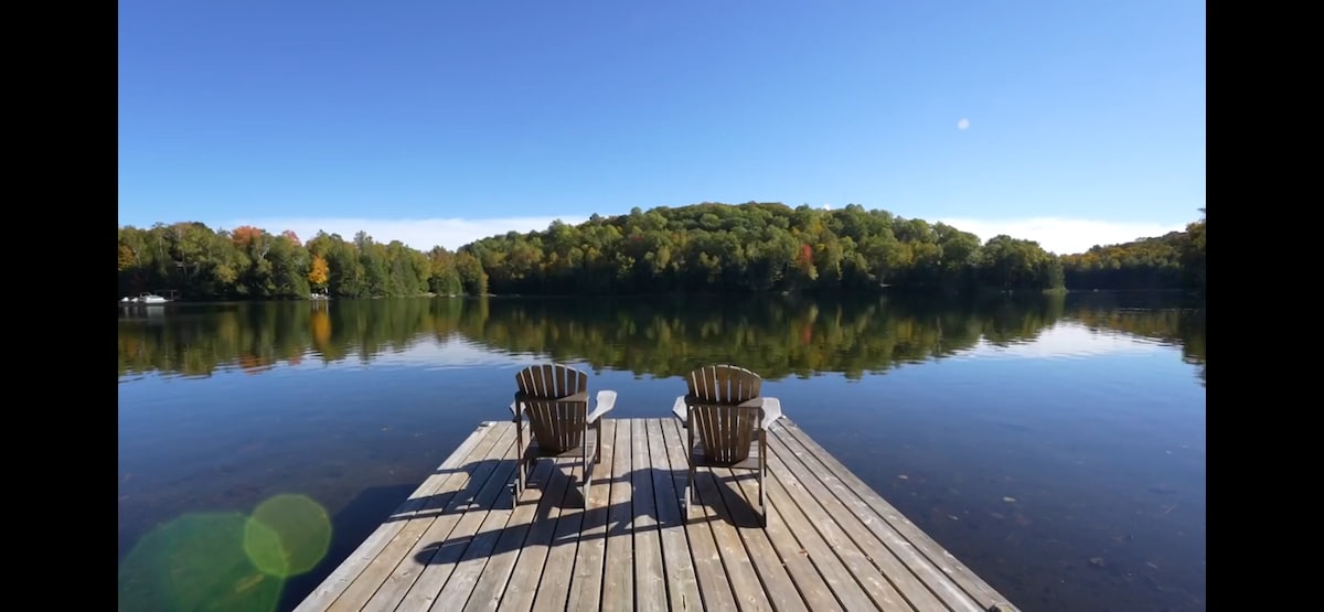 Lakeside Retreat: A Nature Lover’s Escape