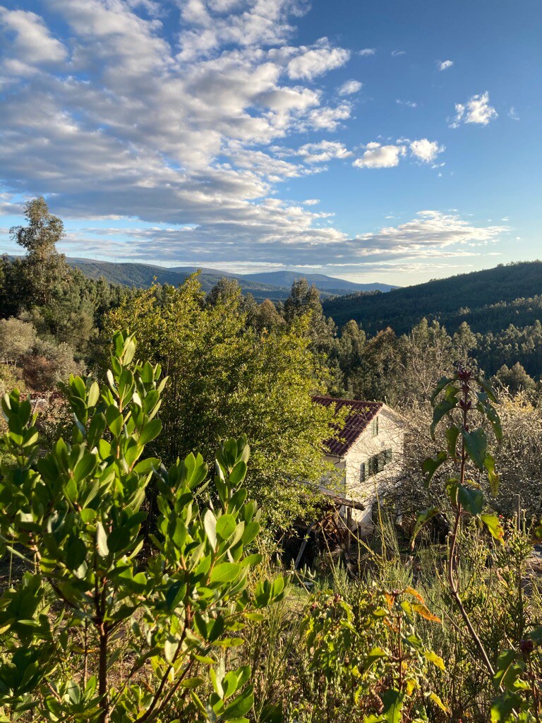 private quiet house in the hills