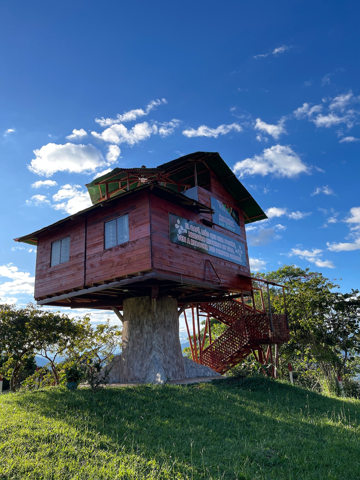 La cabaña en el árbol