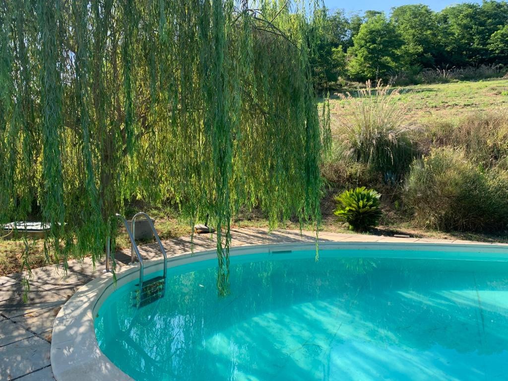 Pool house, relax in the olive trees garden