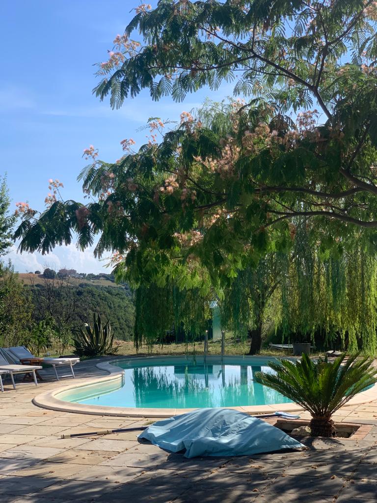 Pool house, relax in the olive trees garden