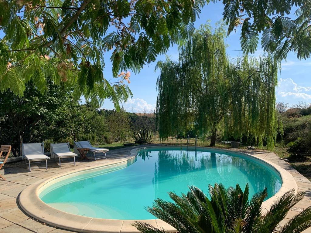 Pool house, relax in the olive trees garden