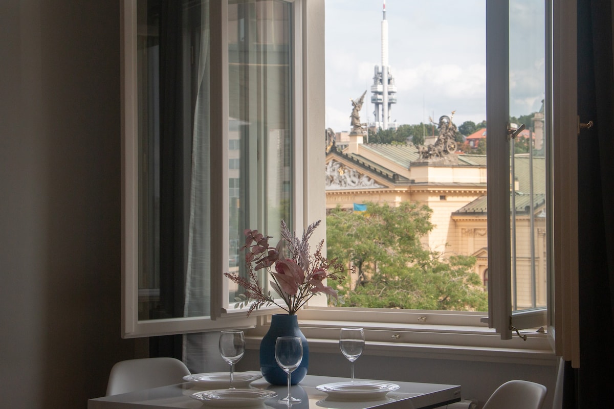 Romantic studio with Prague VIEW in the center