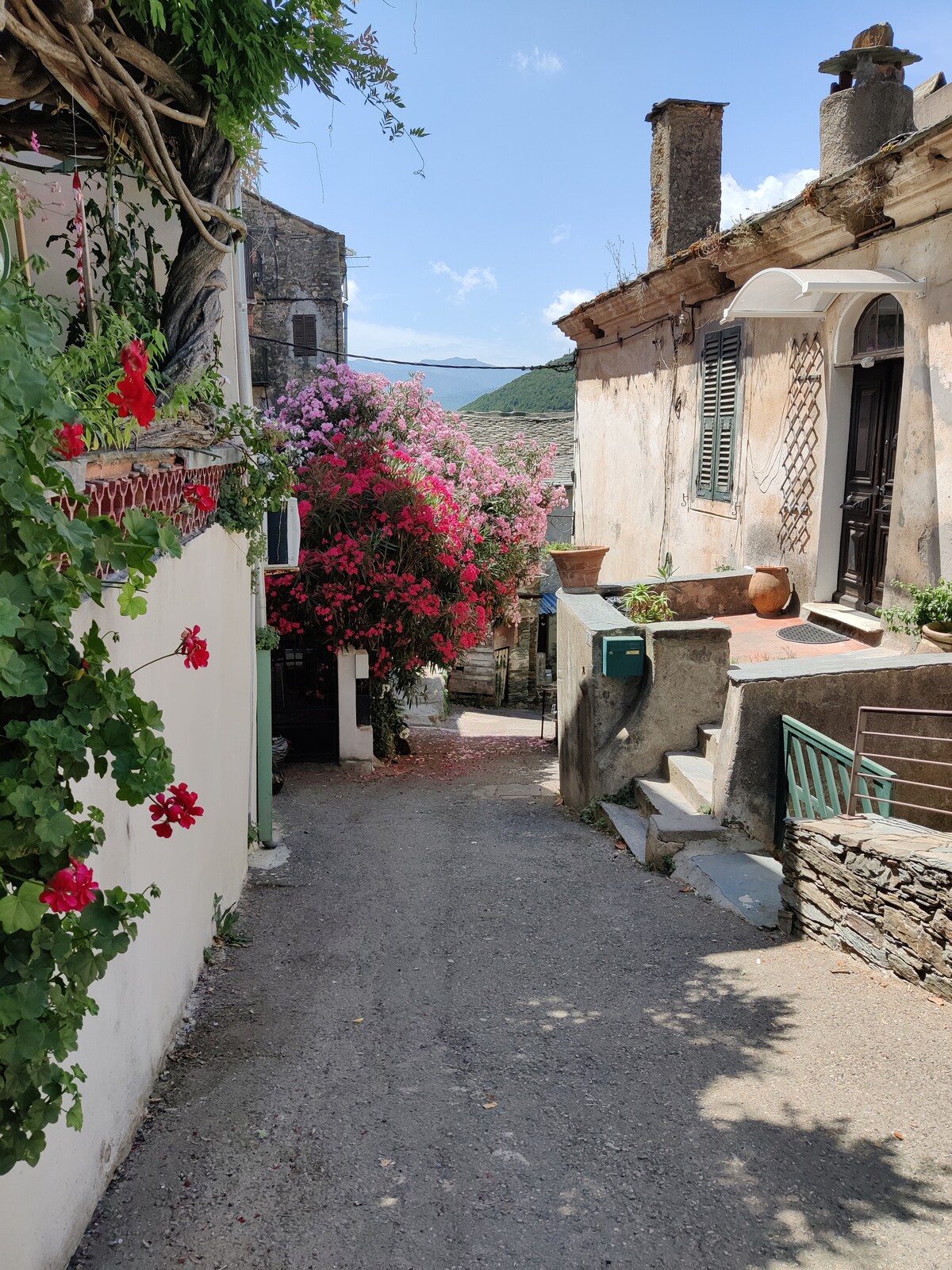 Appartement de plain-pied avec terrasse