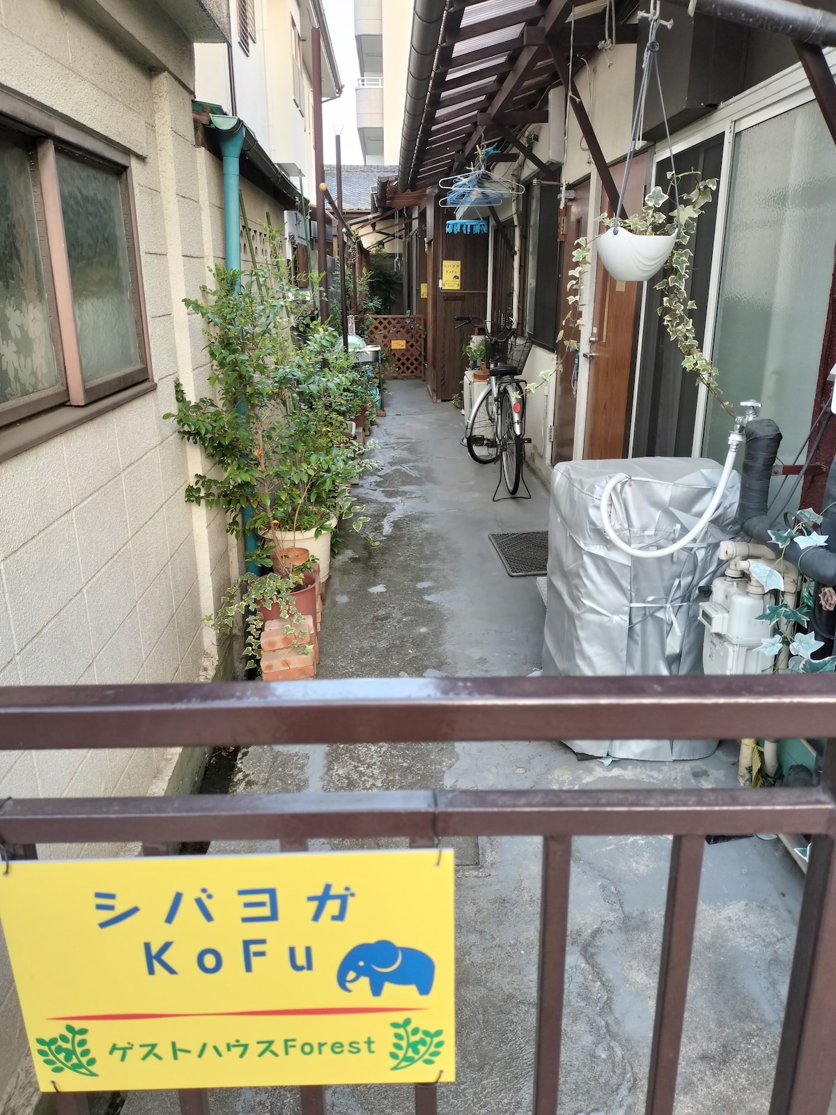 甲府駅から歩いて12分、武田通りにある便利なゲストハウスです。近くには温泉、富士山、河口湖、舞鶴城