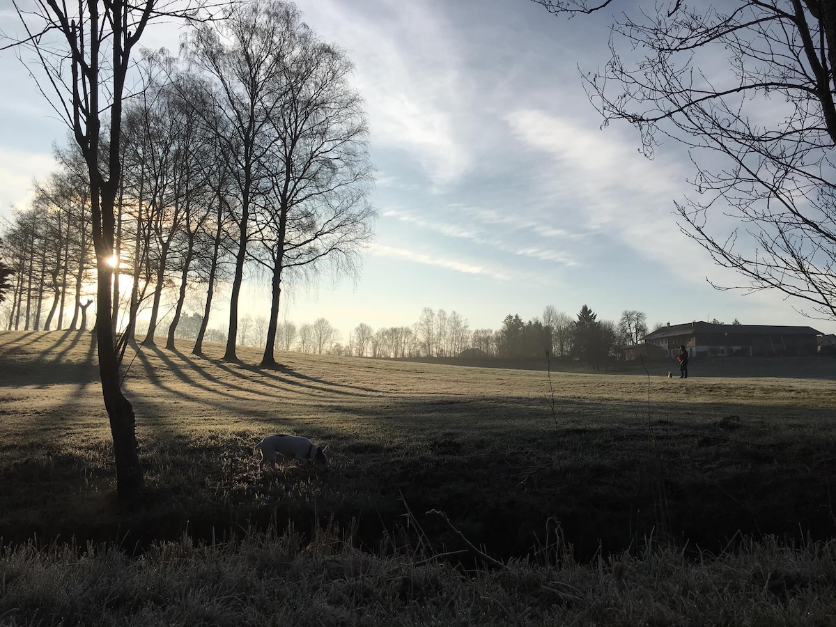 El Bohio - Ausblick, Garten, Geschichten, Ausflüge