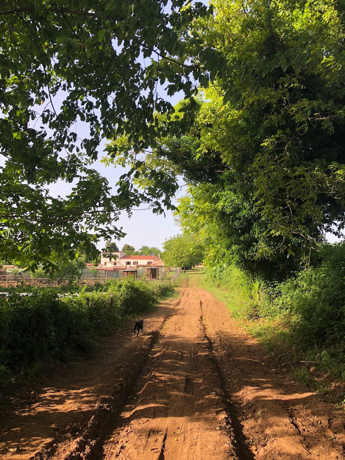 Agriturismo Falcare