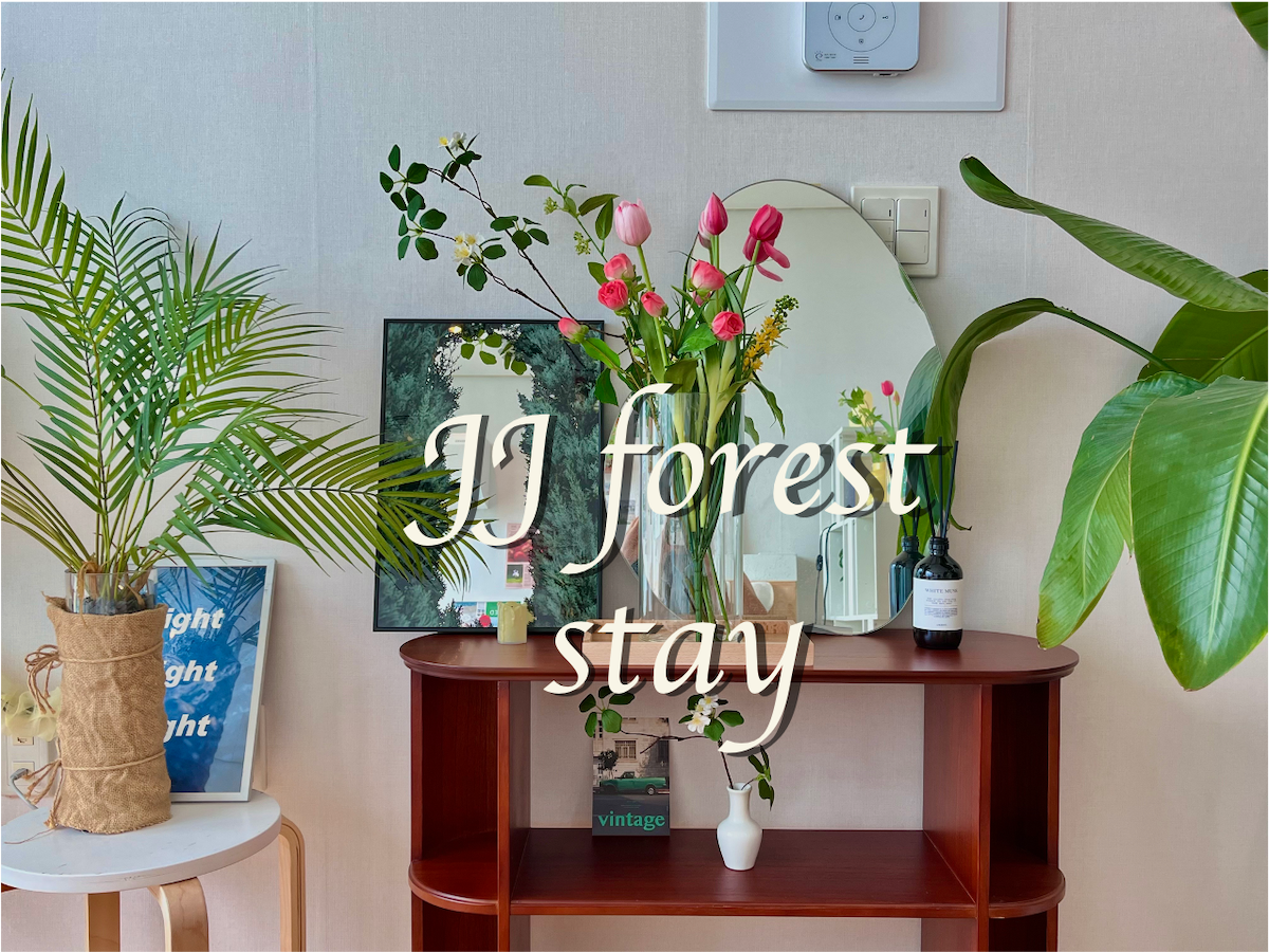 [JJ forest stay] 정자역30초,도심숲속,탄천뷰,호텔침구,50인치TV,주차,넷플