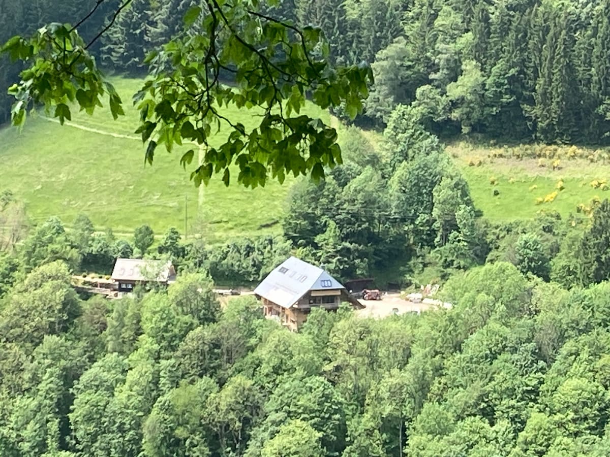 Schwarzwald-Loft im historischen Haldenhof