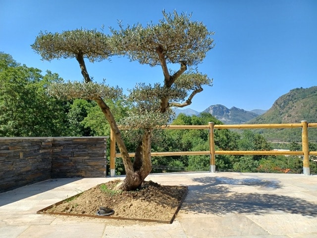 Gîte de montagne (jacuzzi)