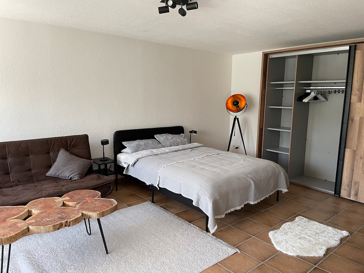 1 Zi Wohnung mit Kaminofen und eigener Terrasse