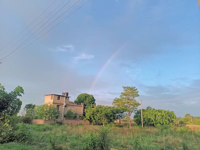 班加罗尔(Bengaluru)的民宿