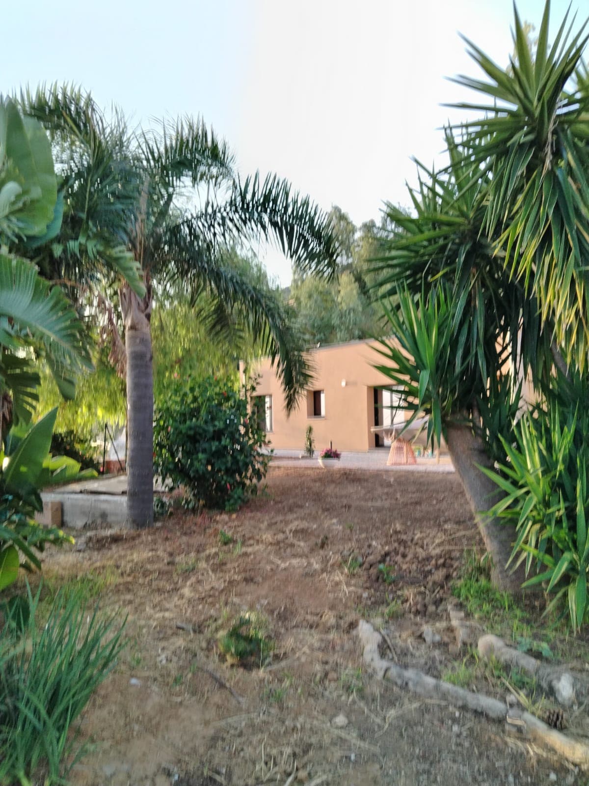 Casa di Pino Ponente. Nel verde con vista tramonto