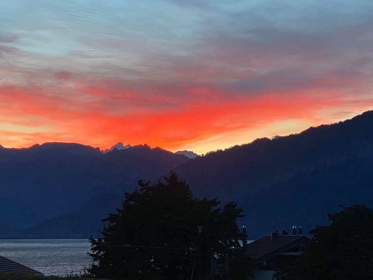 湖泊和山脉花园