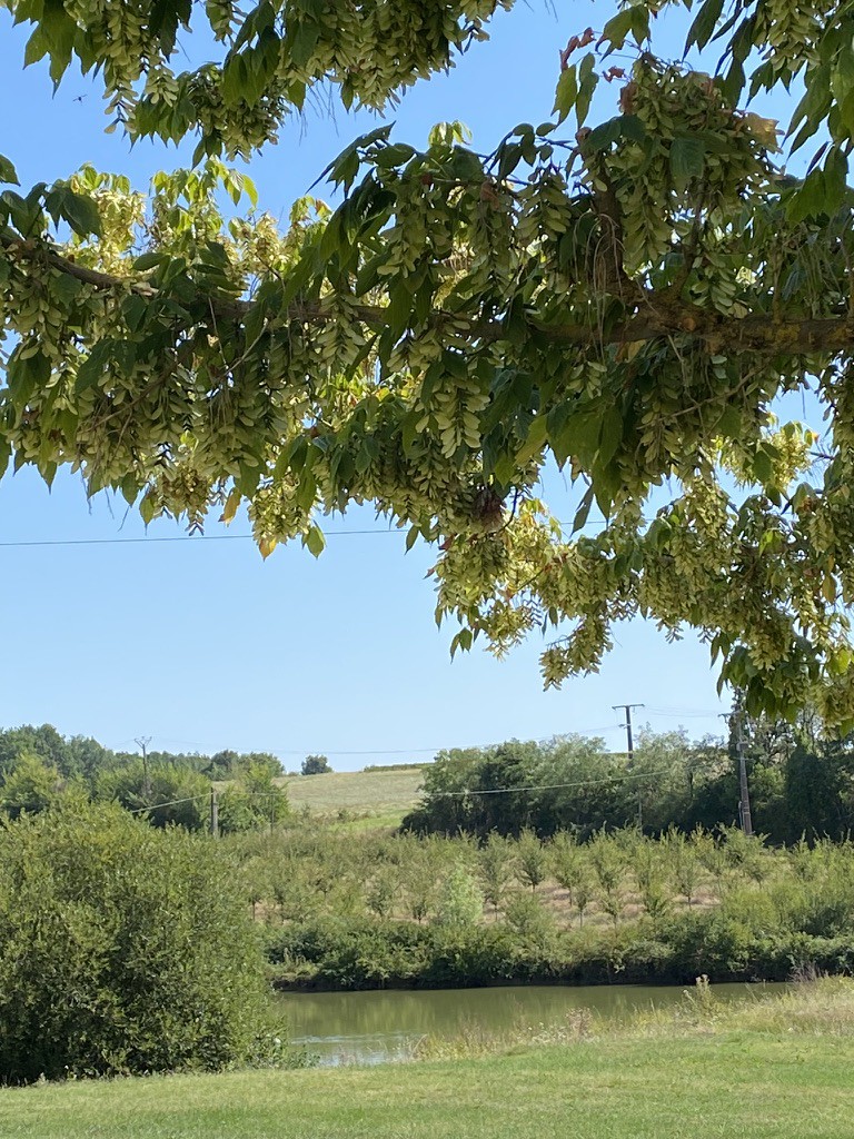 Petit chalet Côteaux de Duras