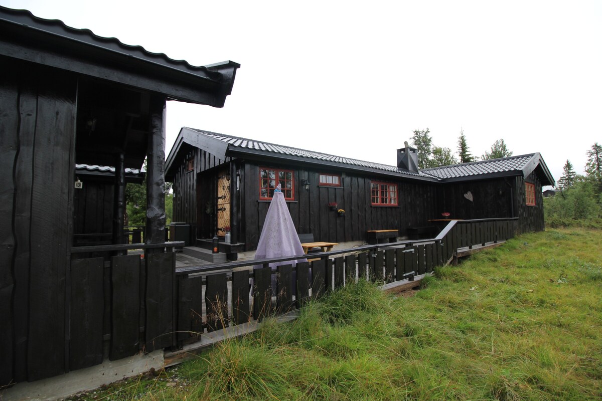 Cabin idyll on Øksendalsfjellet