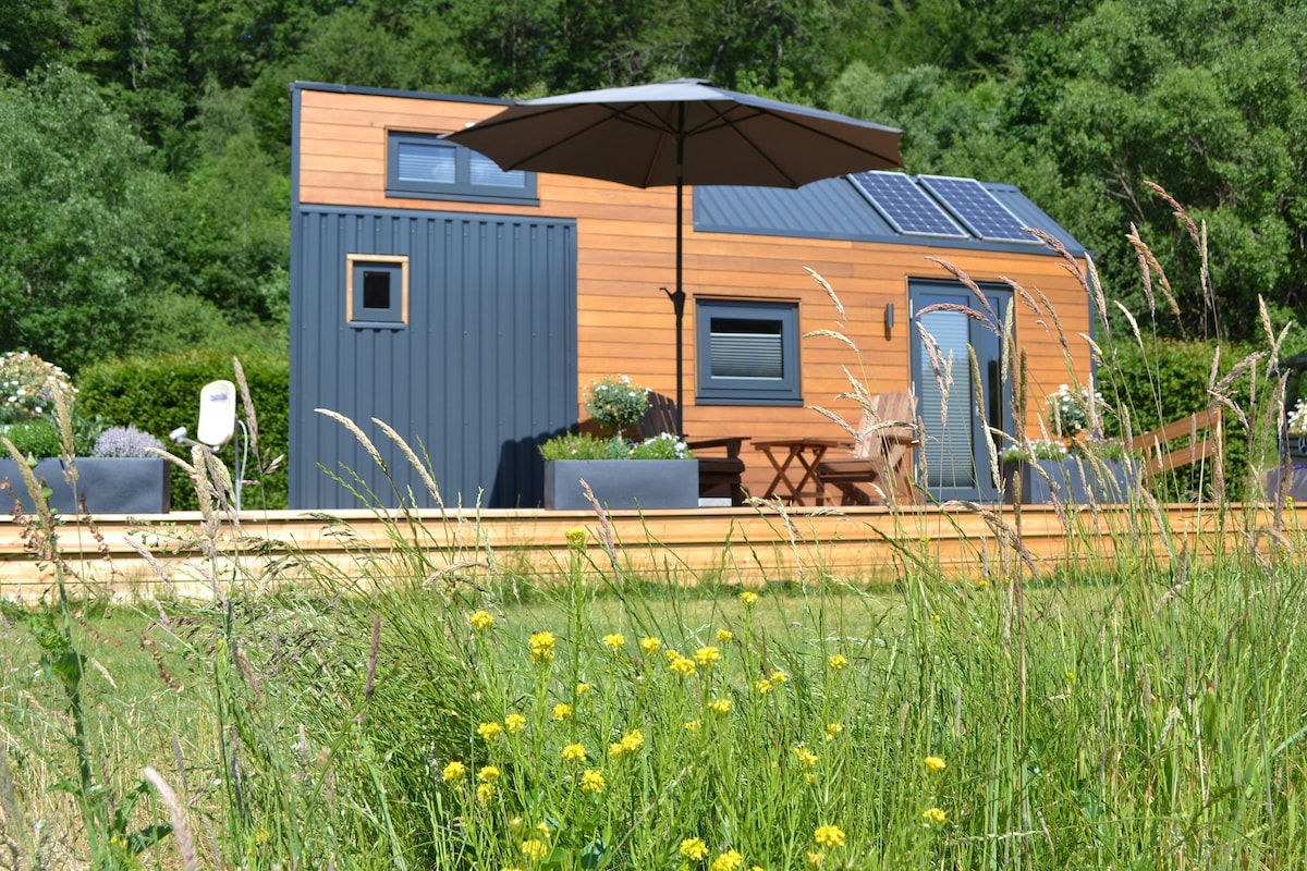 Flat "Tiny House Waldcamping" Prüm Eifel