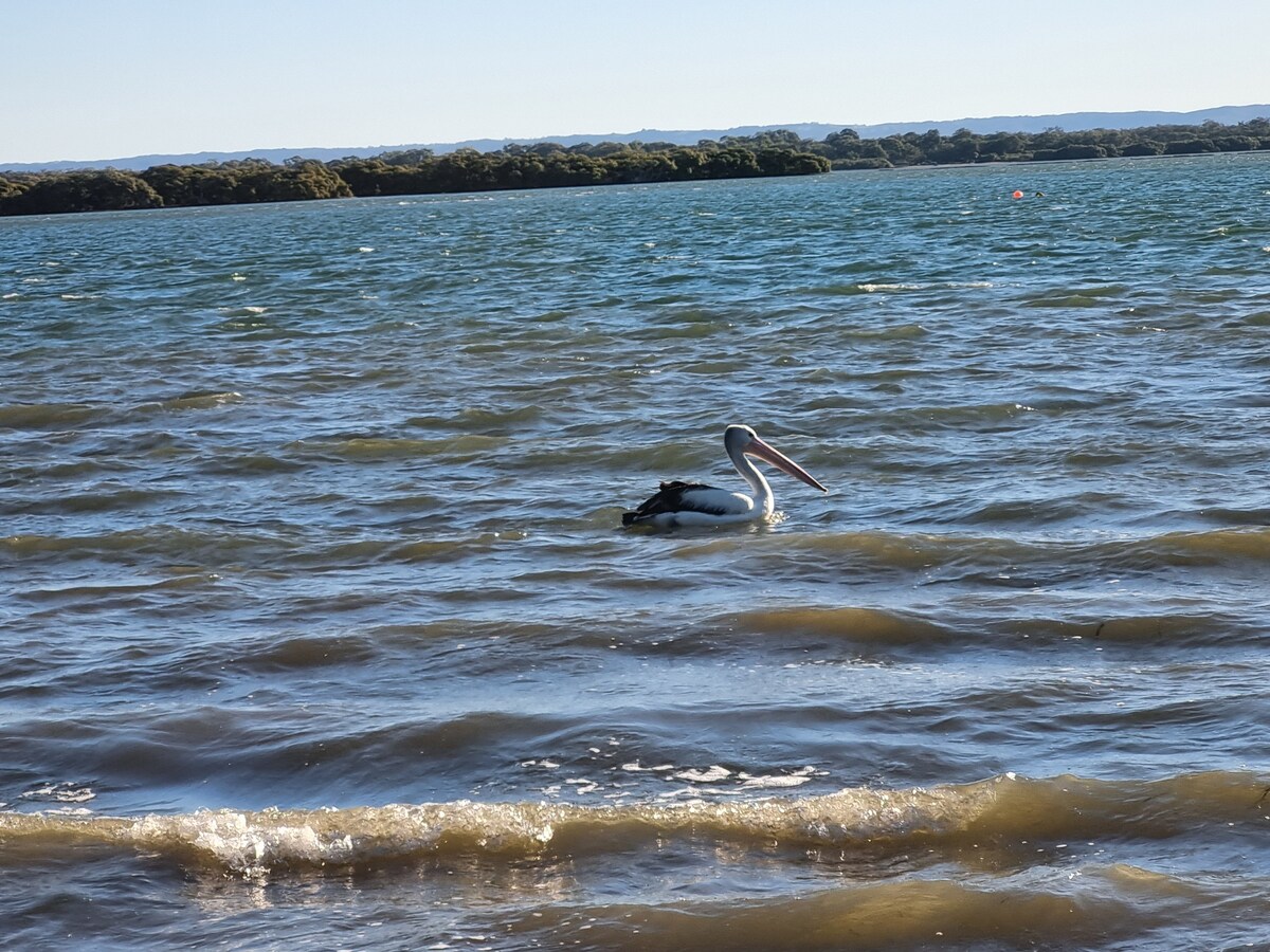 Essentials on Bribie