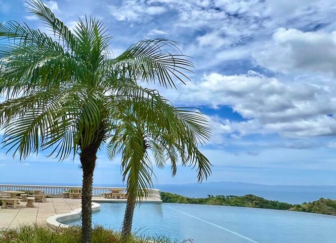 Tropical Jungle & Beach Holiday!