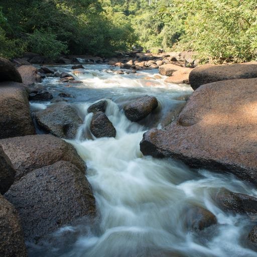 Chácara Exuberante Rio, Piscina, Cavalo e Natureza