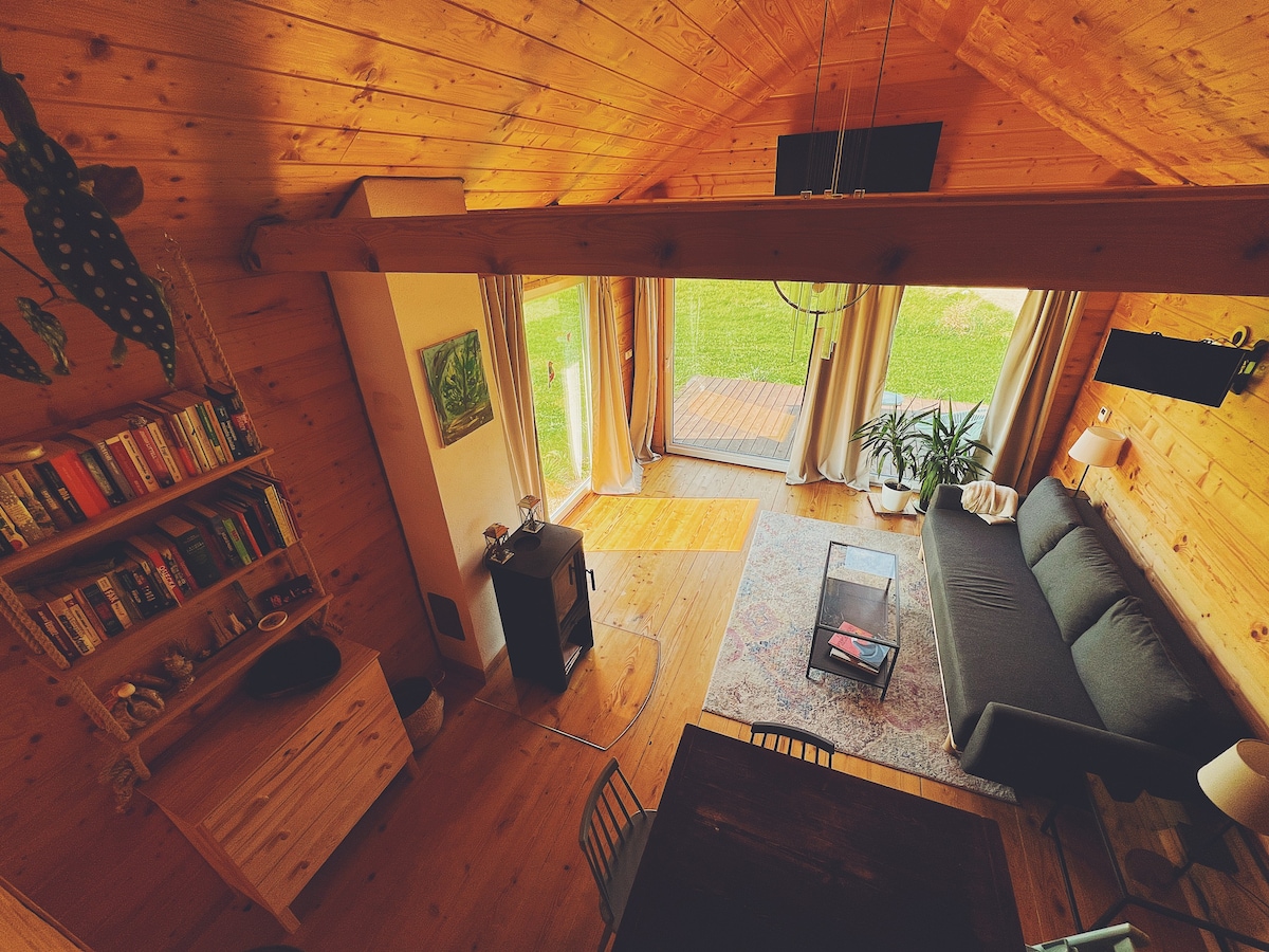 Cute cabin with sauna and a view