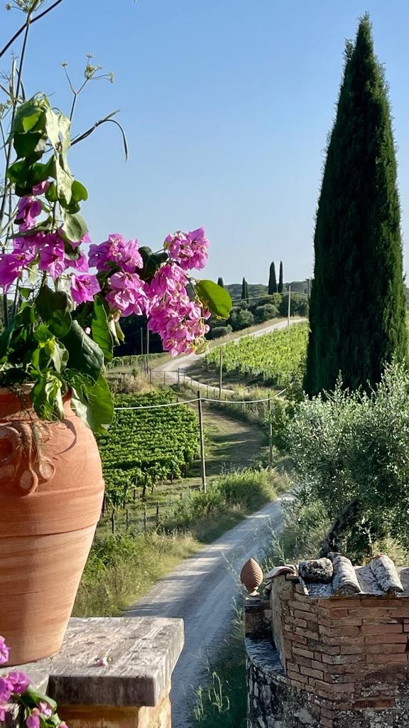 The Terrace on the Chianti