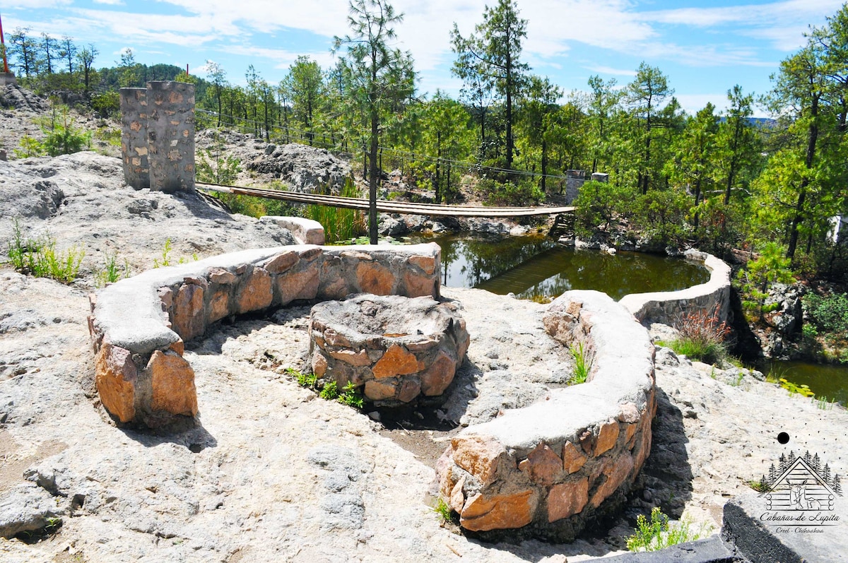 Cabañas de Lupita: El sotol