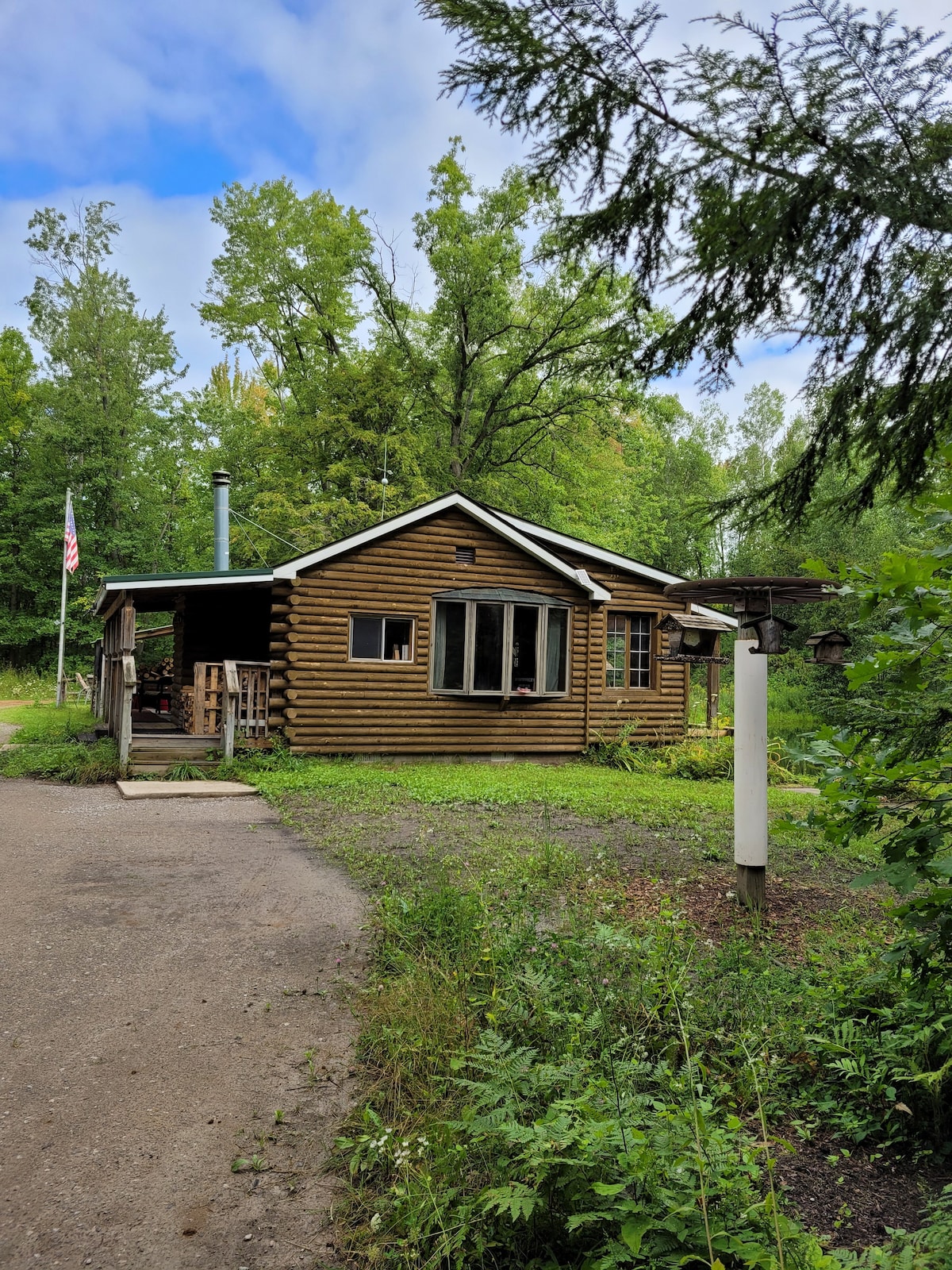 Remote, off-grid cabin w/pond on 120 acres + goats