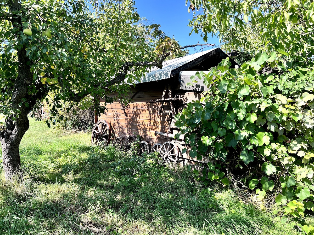 Campen inmitten der Weinberge