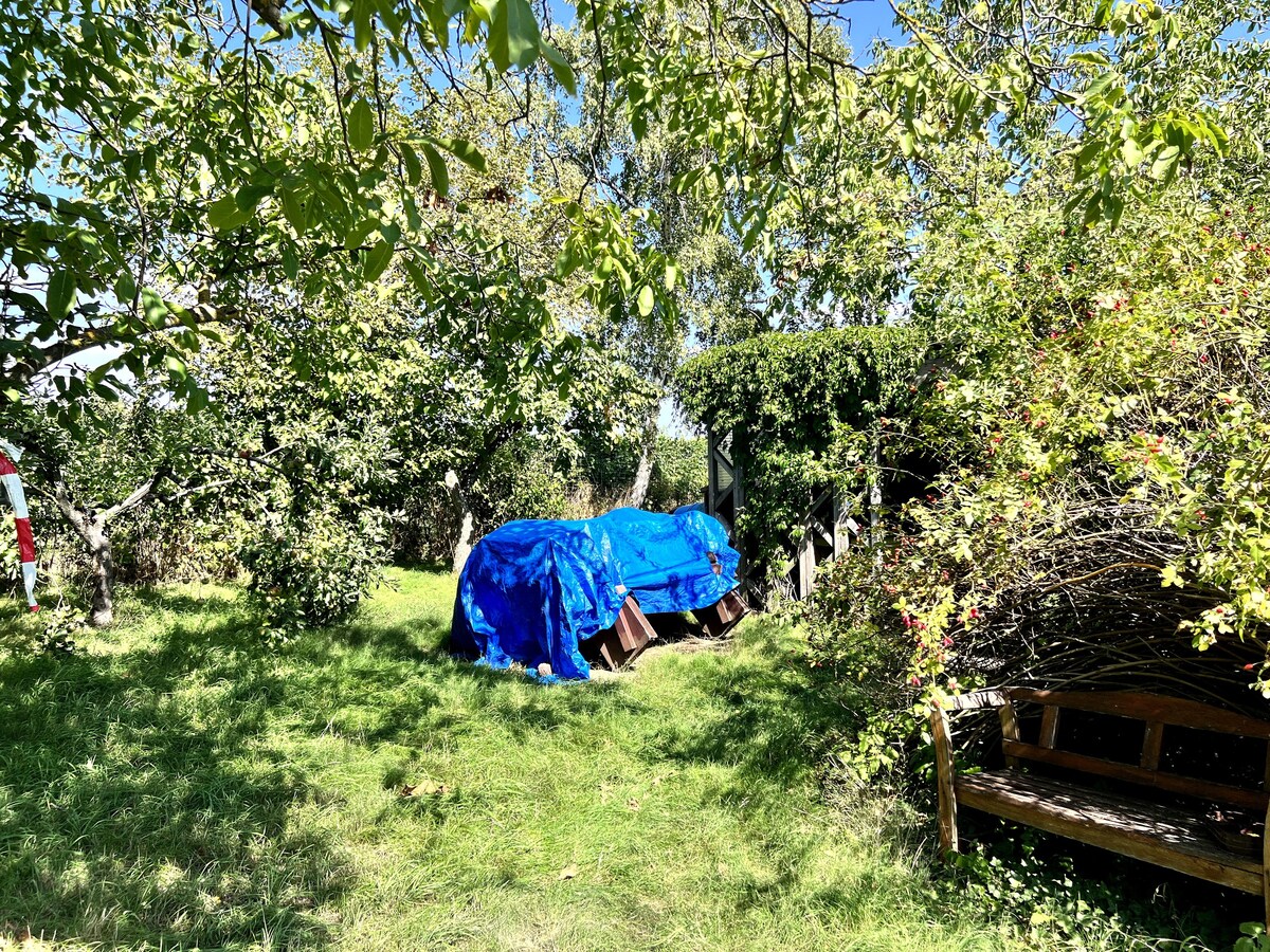 Campen inmitten der Weinberge