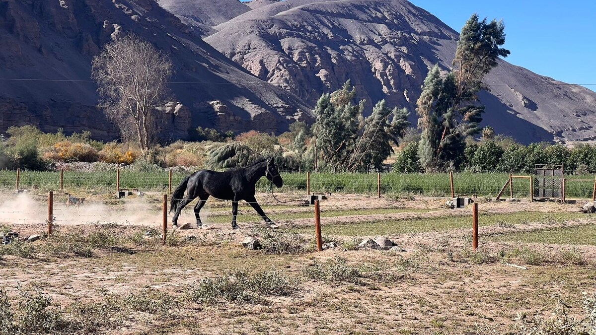 Camping Salvaextremo