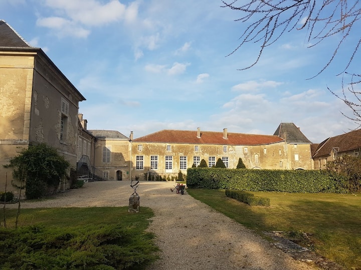 Magnificent Castle in Champagne