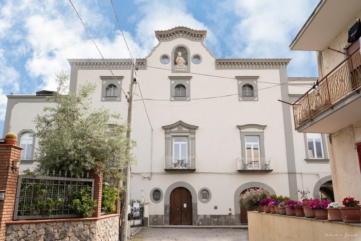 Villa Vesuviana - Loft con giardino