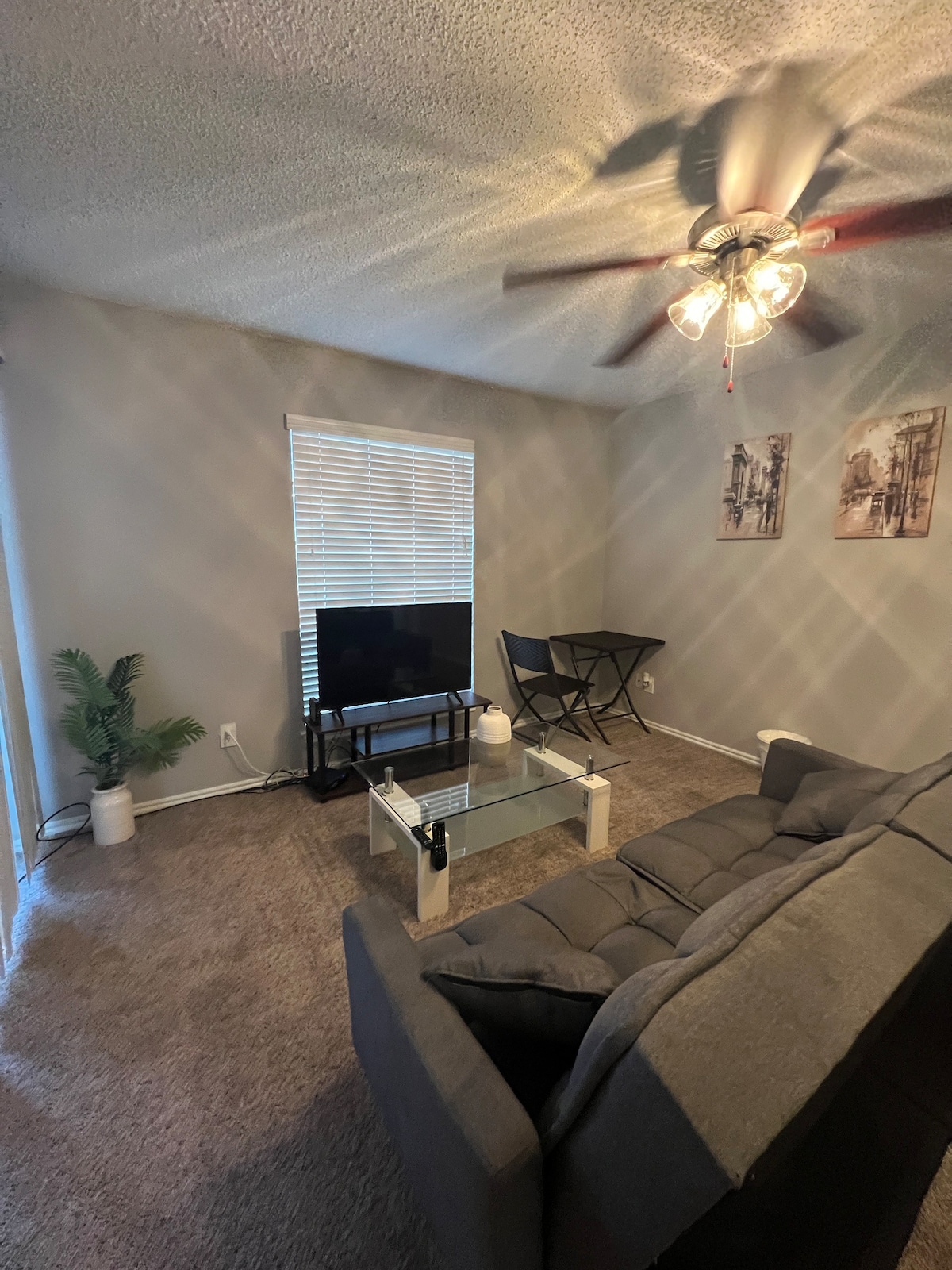 Central AT&T Stadium 1 BR APT