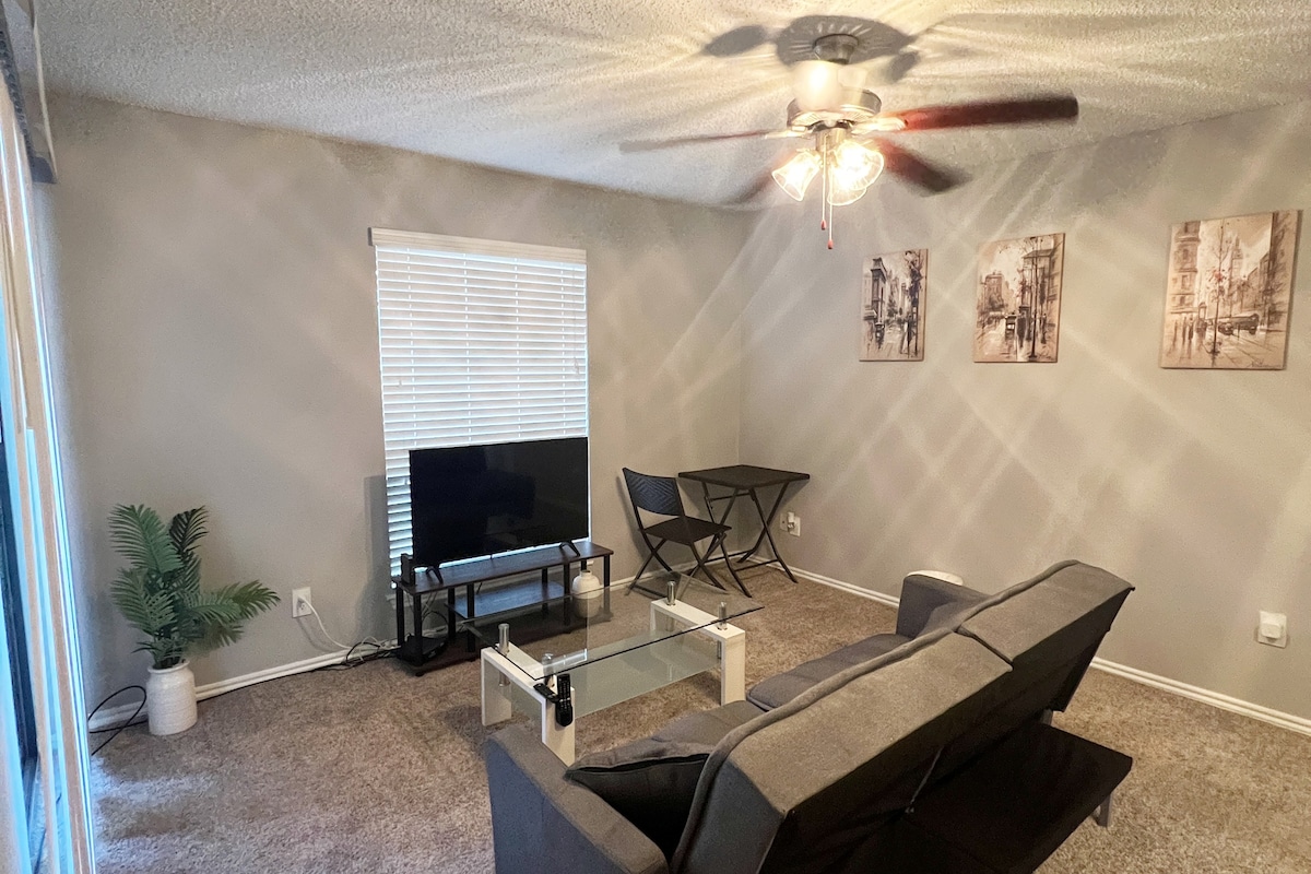 Central AT&T Stadium 1 BR APT