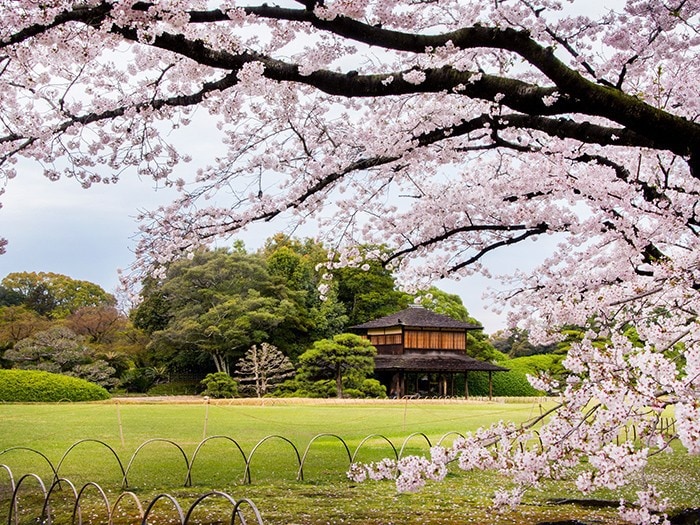 房子位于京都（ Kyoto ）和广岛（ Hiroshima ）之间