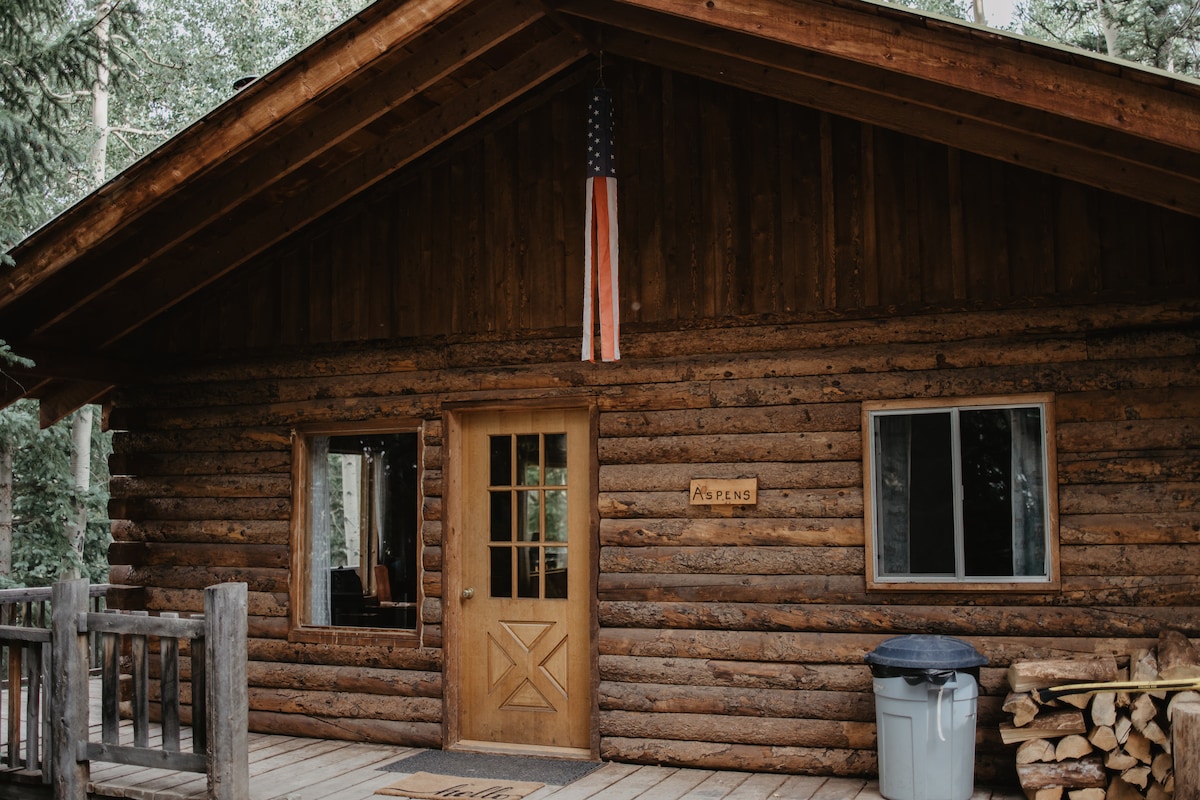 Aspen Cabin In San Juan Mountains - 2BR/1BA