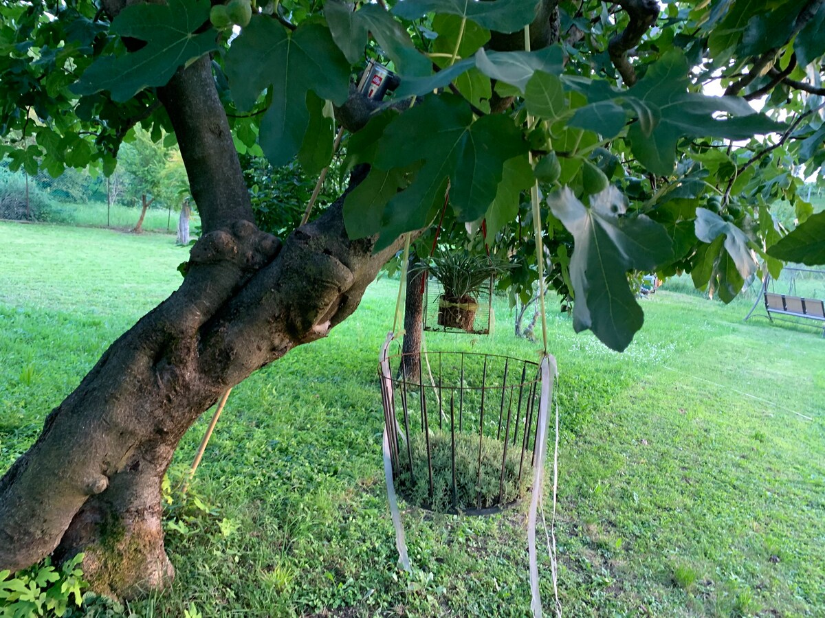 Villa Marta B&B in Franciacorta - Il Vigneto