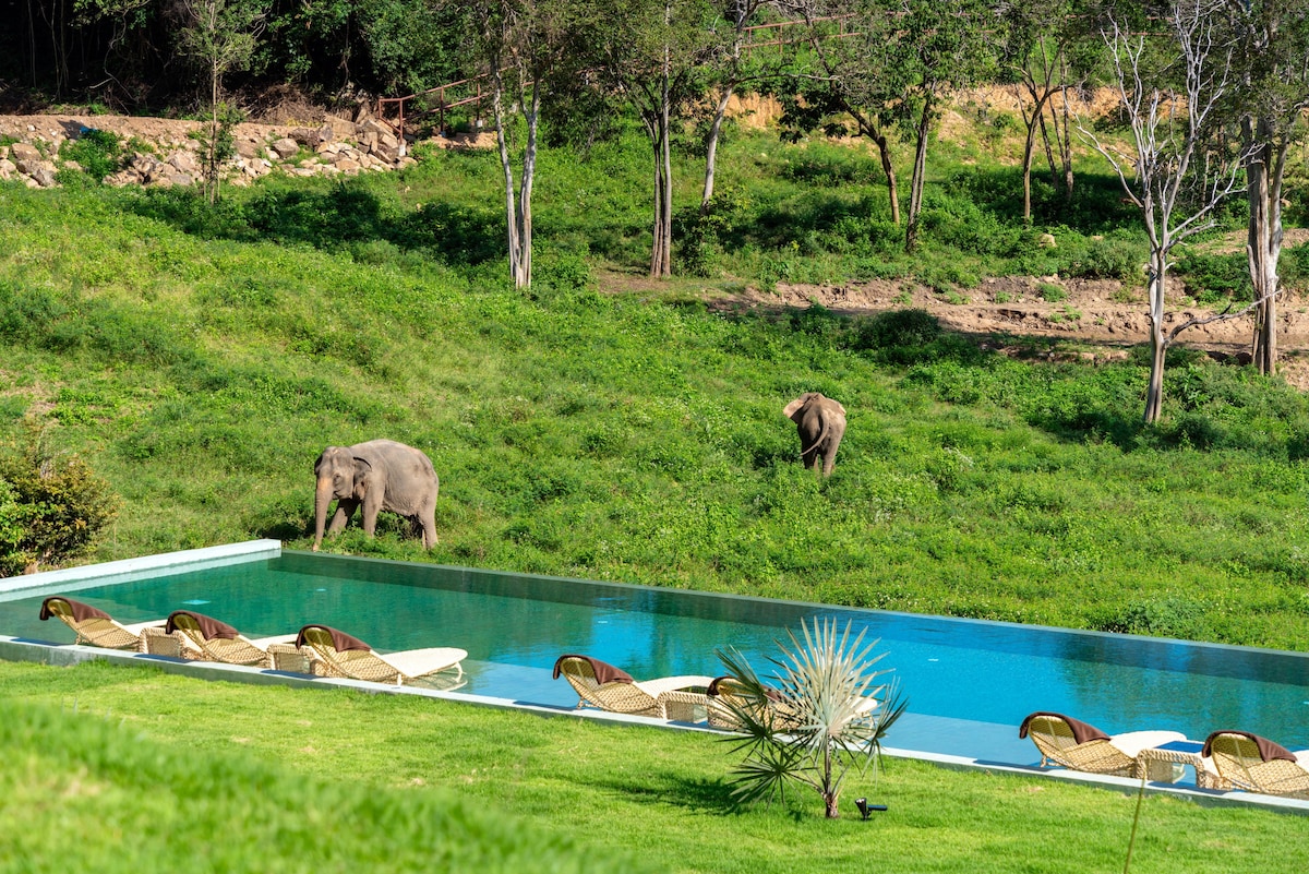 Panorama Ocean and Elephants Sanctuary View