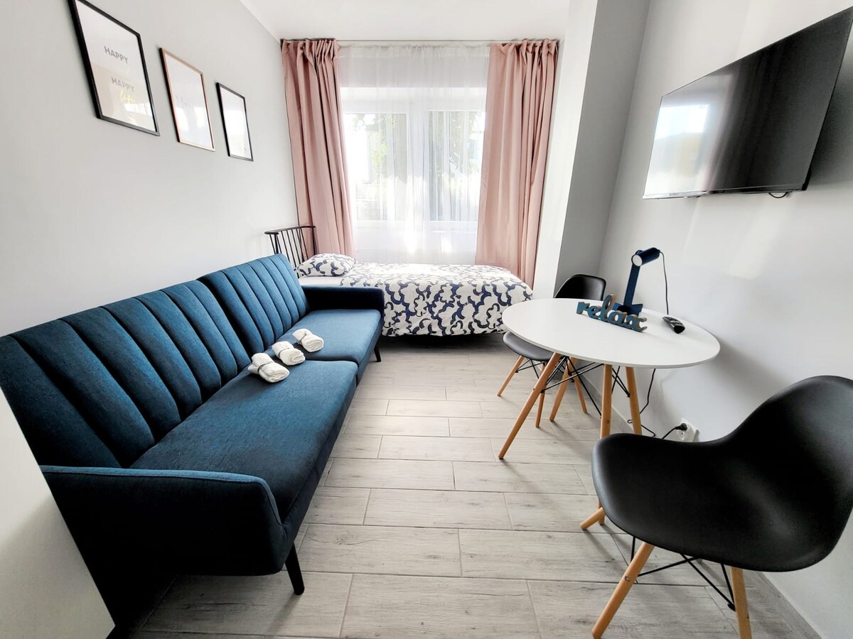 Mini Apartament Poznań nr 6