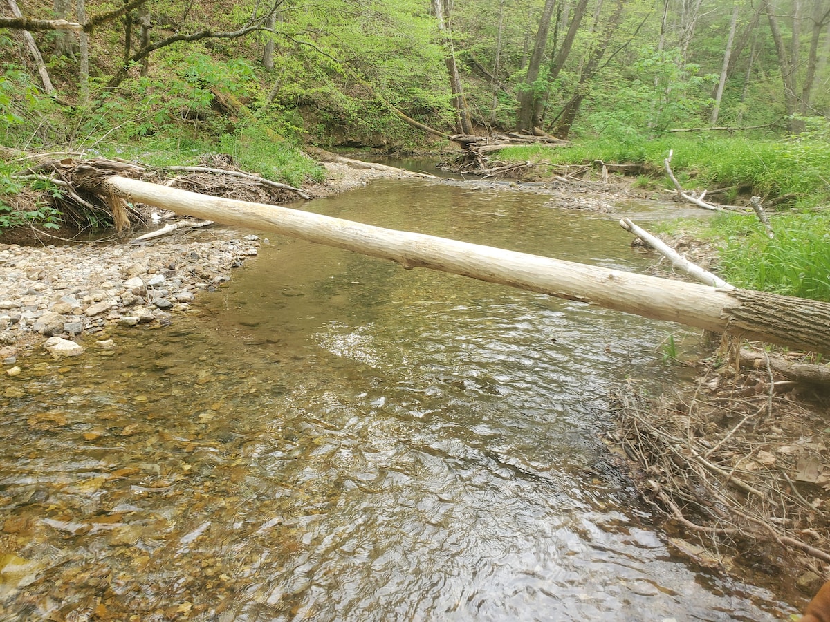 Camp along a year-round creek