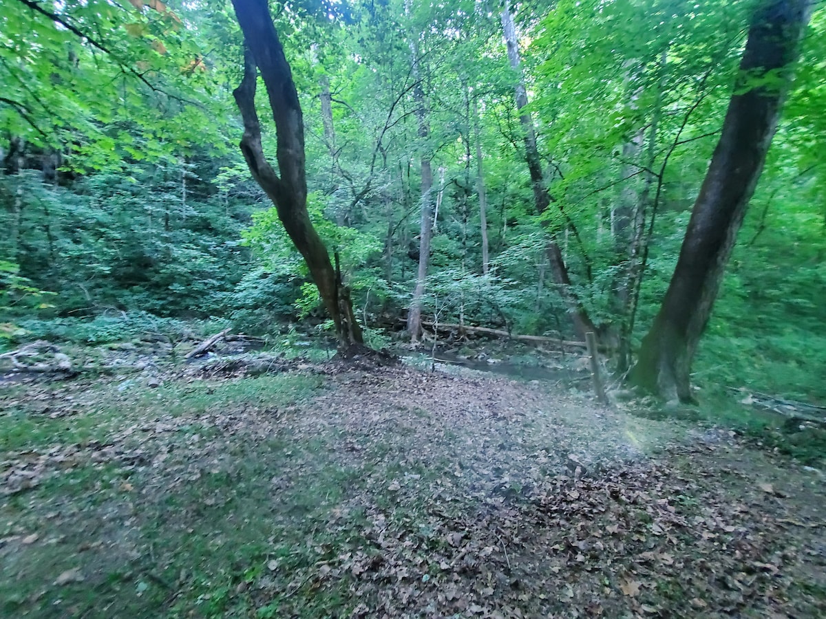 Camp along a year-round creek