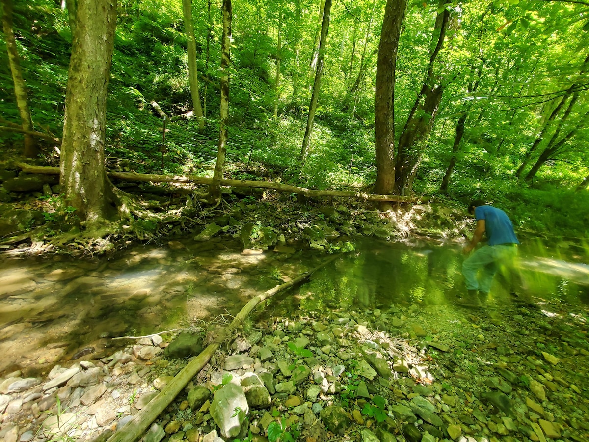 Camp along a year-round creek