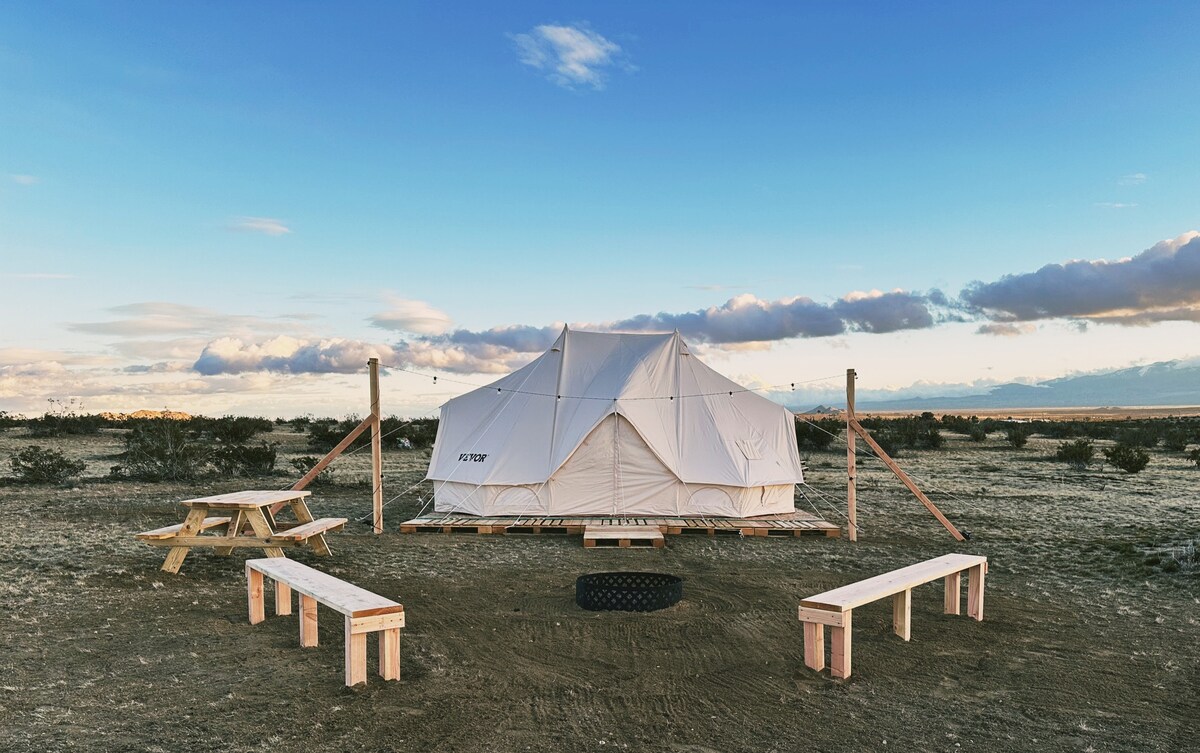 住宿：沙漠蒙古包度假屋