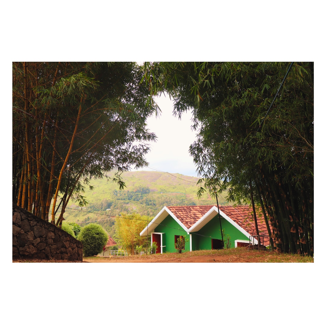 Elenor Cottages Santhanpara Munnar