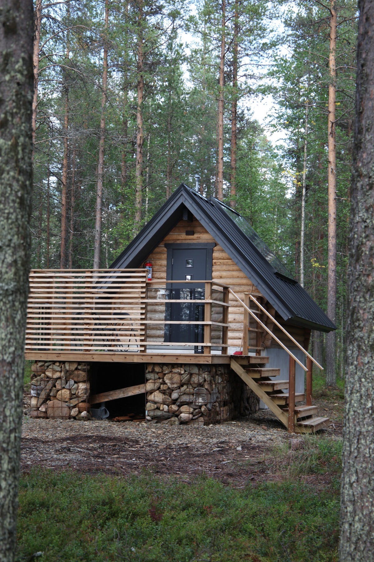 Rafi - Aurora Cabin 1
