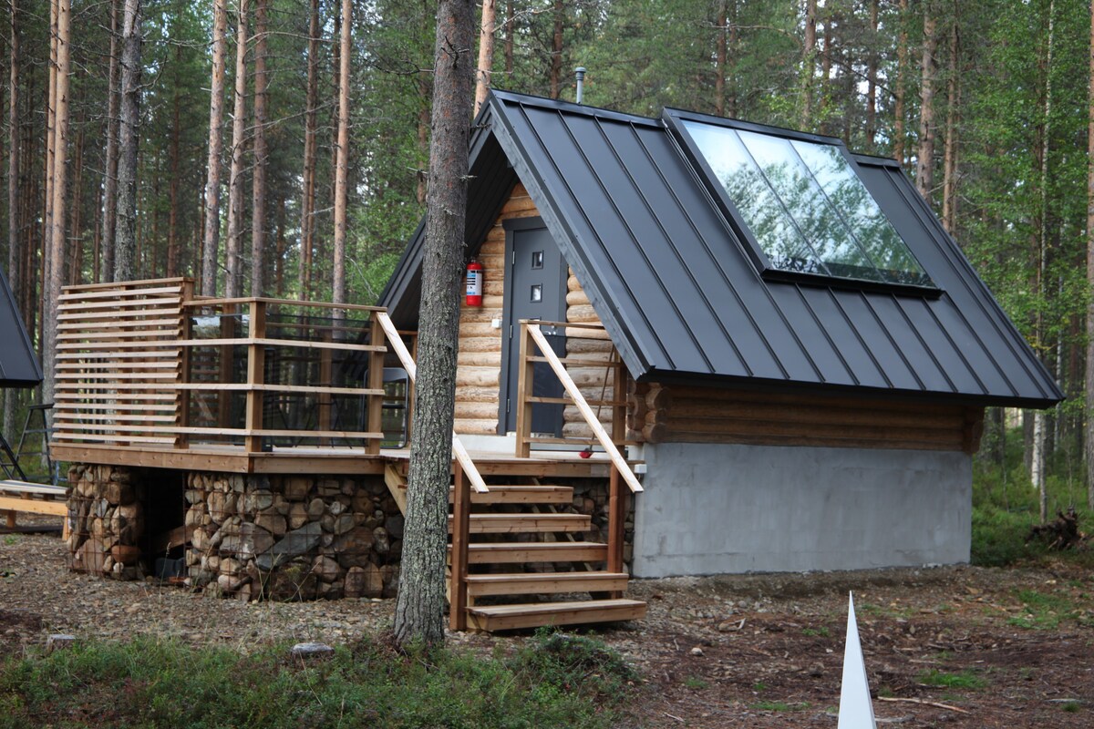 Rafi - Aurora Cabin 1