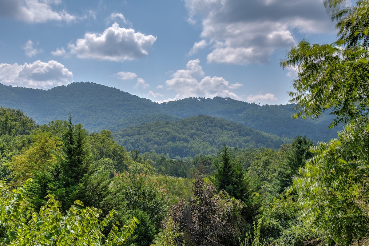 Mountain View Cabin (10 min to downtown or Parkway